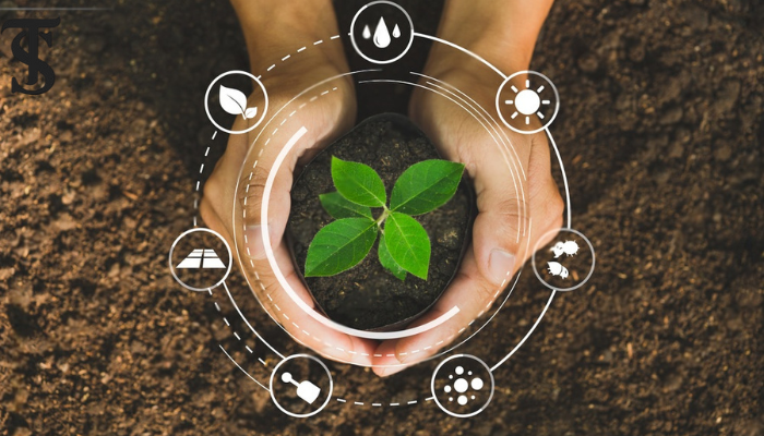 Green Pakistan Initiative for a Sustainable Tomorrow The Spine Times Green Pakistan Initiative for a Sustainable Tomorrow